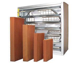 午夜精品久久水簾的維修要點分析