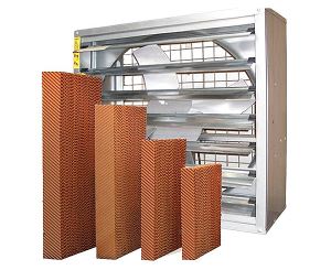 午夜精品久久水簾的保養方法